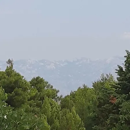 Апартаменты Max Вир